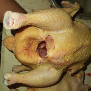 Pollo Criollo - 8 libras.